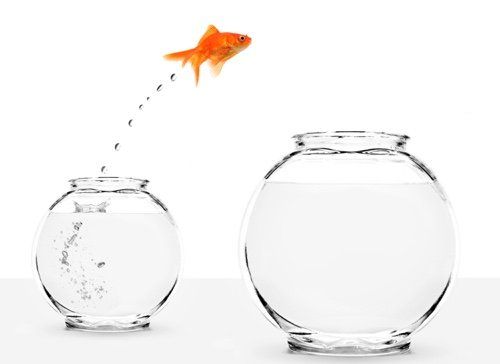 Change Management Consulting and Training Services