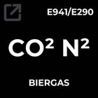 Biergas