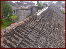 Roofing projects 3