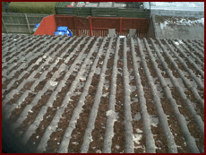 Roofing projects 5