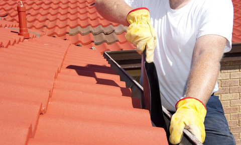 gutter cleaning
