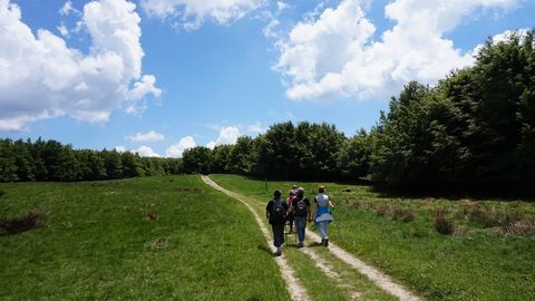 Alberghi Bagno di Romagna: Forcelli
