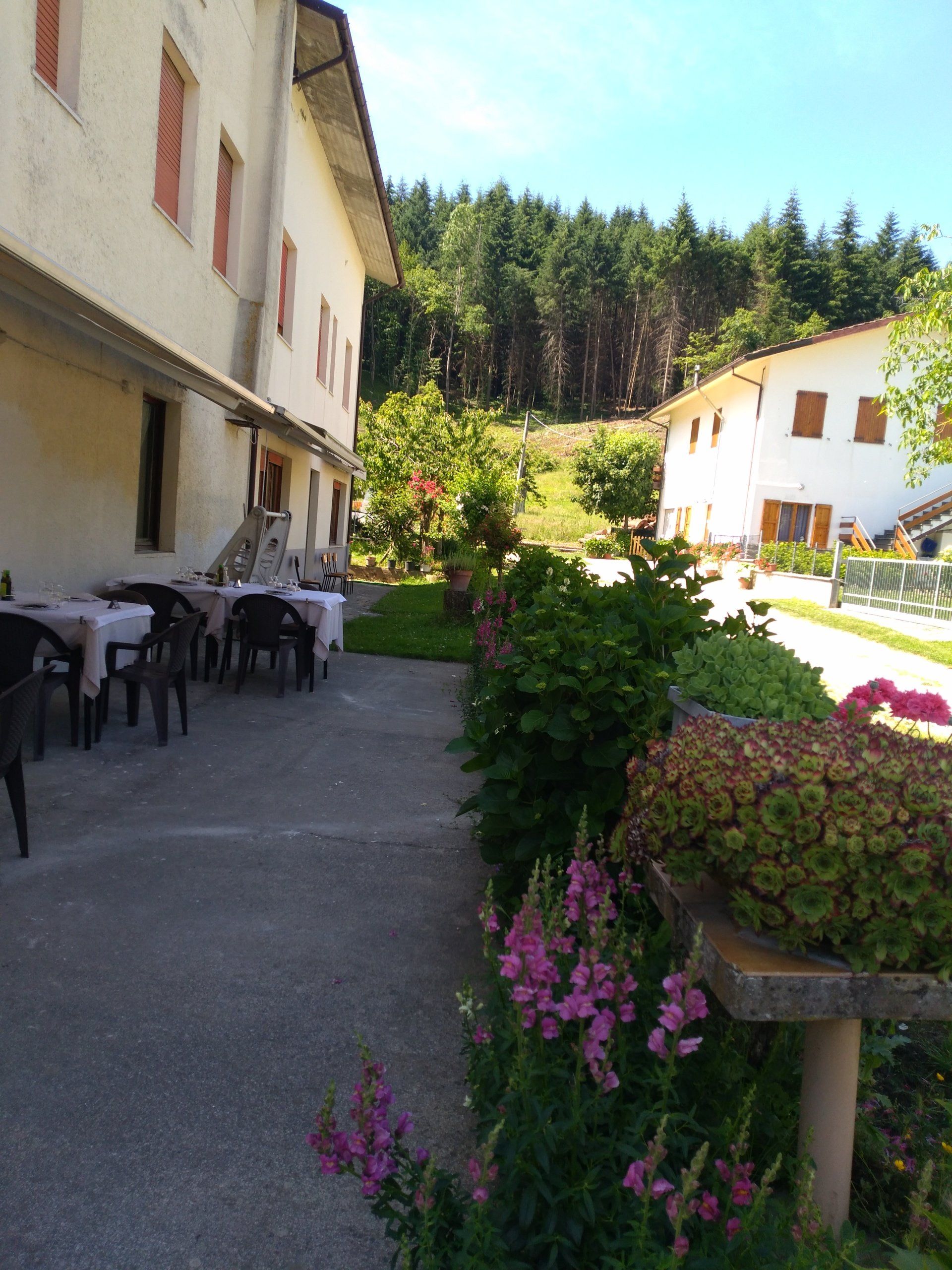 Hotel Forcelli Acquapartita - Veranda