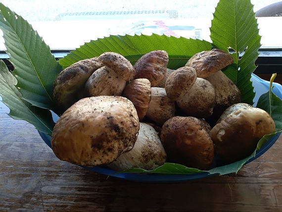Ristorante Acquapartita - Funghi Porcini