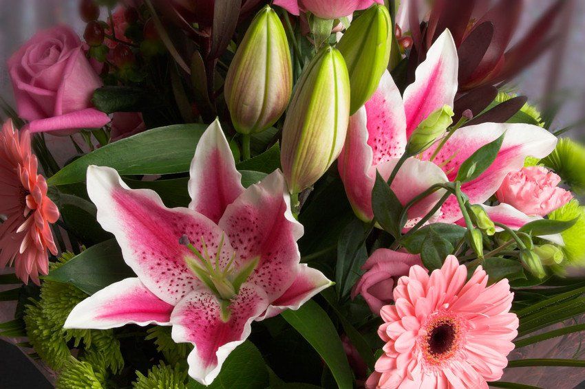 flowers