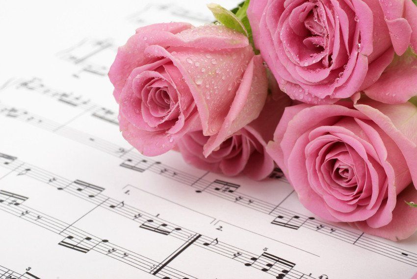 pink flowers