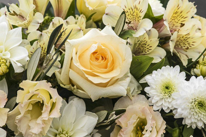 flowers