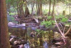 environmental companies