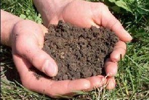 NJ Environmental planning