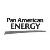 Logotipo de Pan American Energy en texto negro con subrayado gris sobre fondo blanco