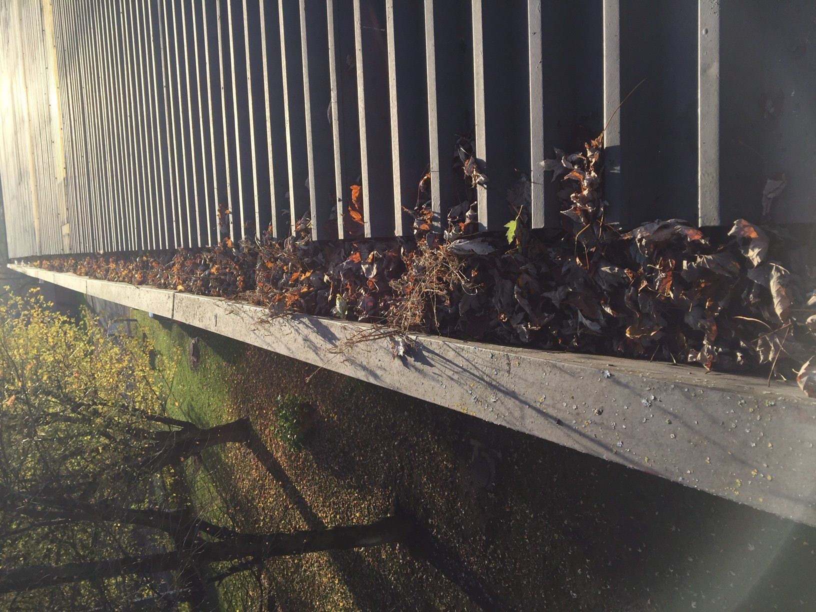 Gutters full & clogged.