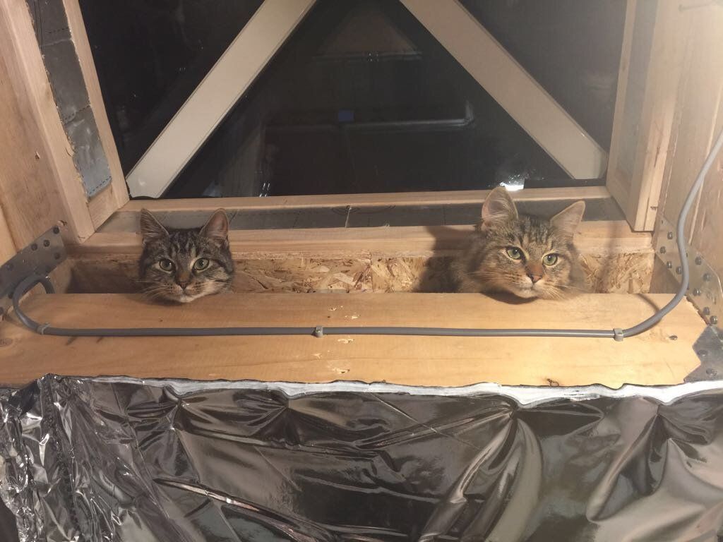 ceiling work