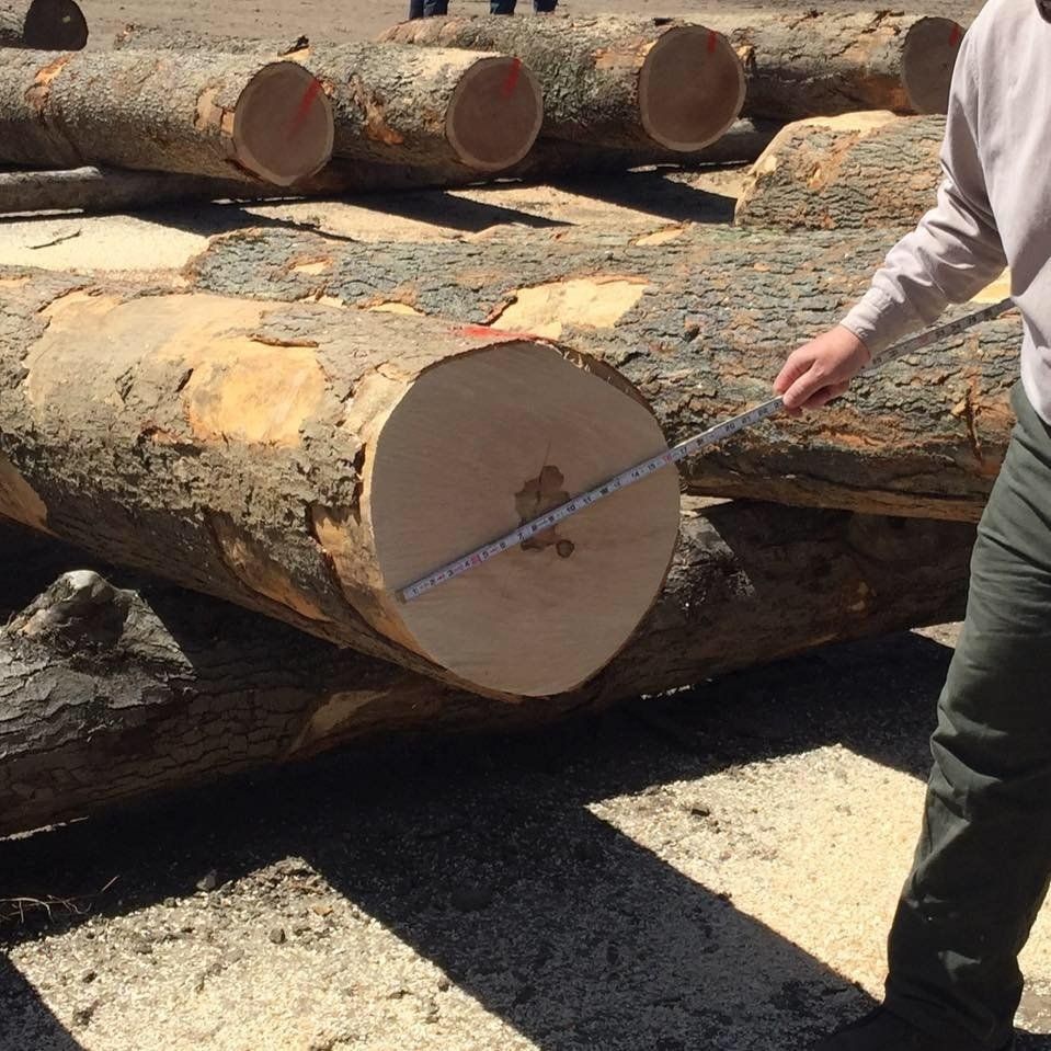 A man measuring a log with a tape measure