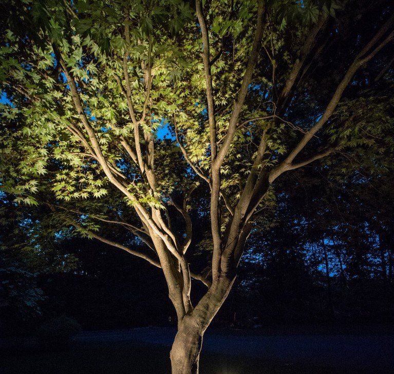 landscape lighting Trumbull, CT