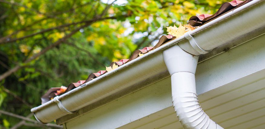 Gutter cleaning 
