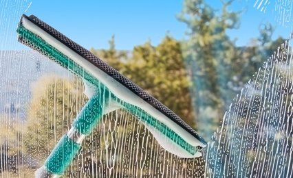 Window cleaning experts