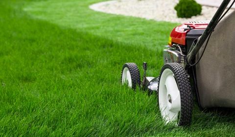 A Mower — Palm Harbor, FL — Atlantic Pest Control and Lawn Spraying Inc A Mower — Palm Harbor, FL — Atlantic Pest Control and Lawn Spraying Inc