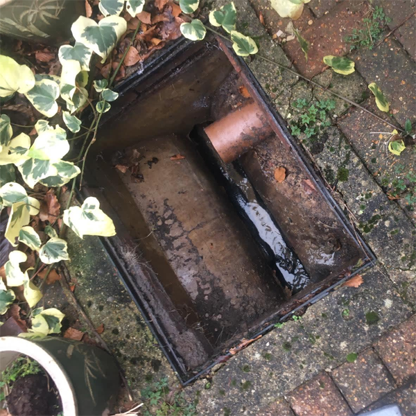 Clogged sewer