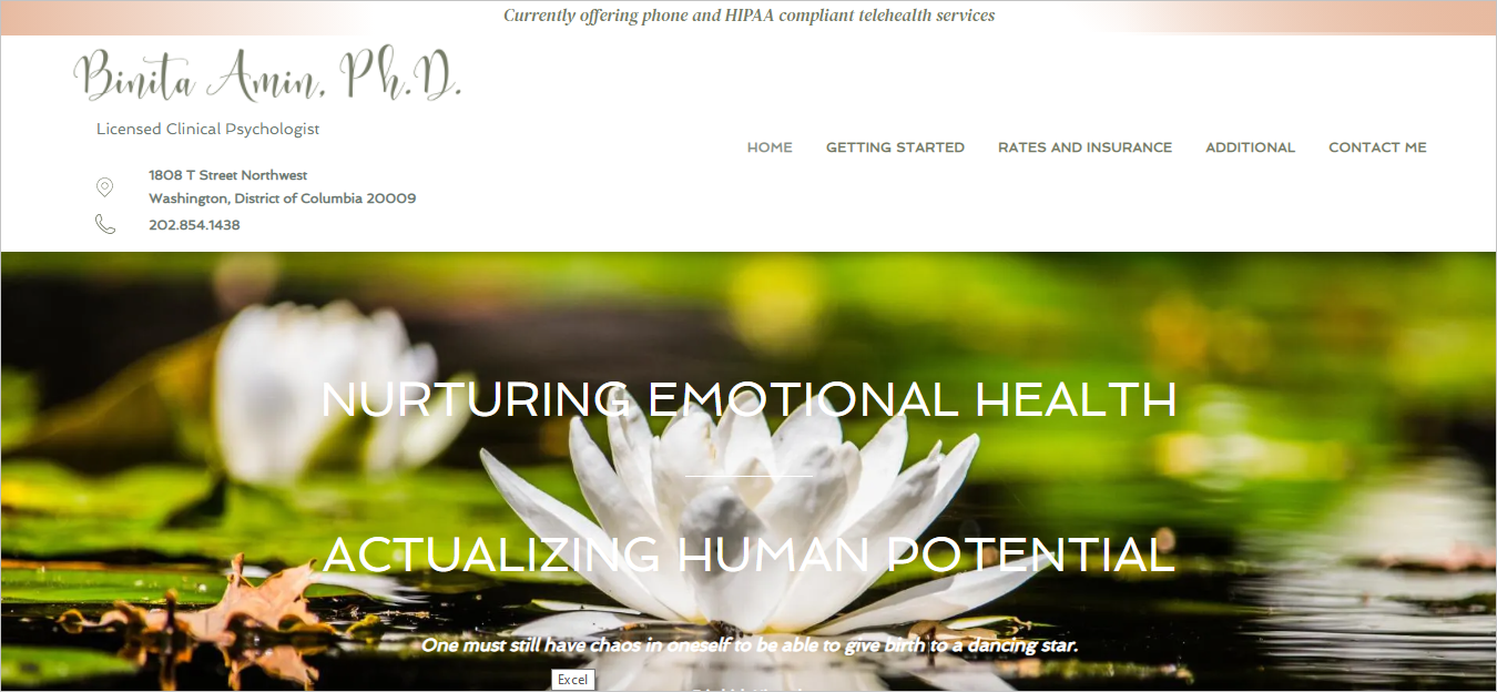 Binita Amin, PhD | Washington DC Psychologist