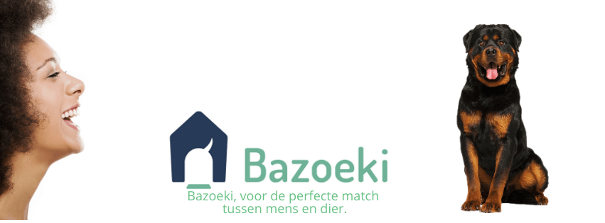Bazoeki Rottweiler Pup