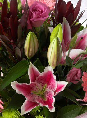 Same Day Delivery - Torrington - Designers Florist - Flowers Same Day Delivery - Torrington - Designers Florist - Flowers