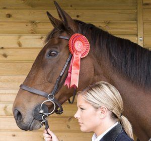 Hacienda Del S-Par Arabians is proud to have skilled and experienced horsemen on our staff.