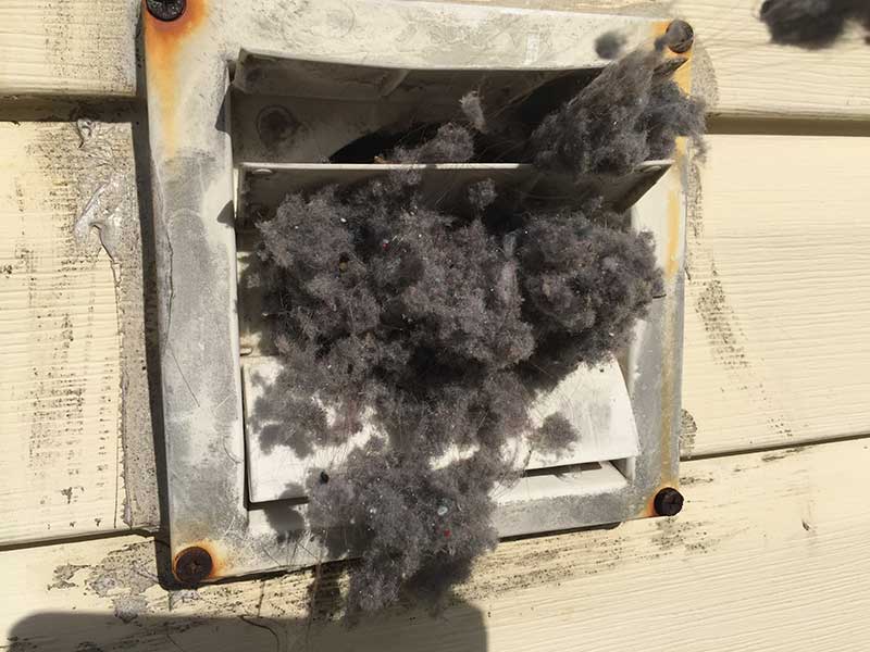 Dryer lint