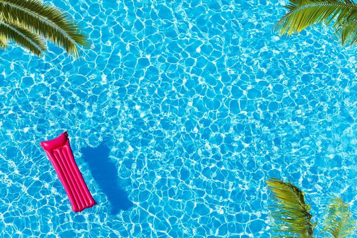 Pool Float and Palm Tree Fronds