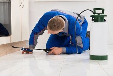 Spraying Pesticide — Pest Control in Danville, VA Spraying Pesticide — Pest Control in Danville, VA