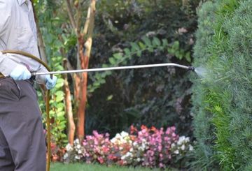 Lawn Care — Pest Control in Danville, VA Lawn Care — Pest Control in Danville, VA