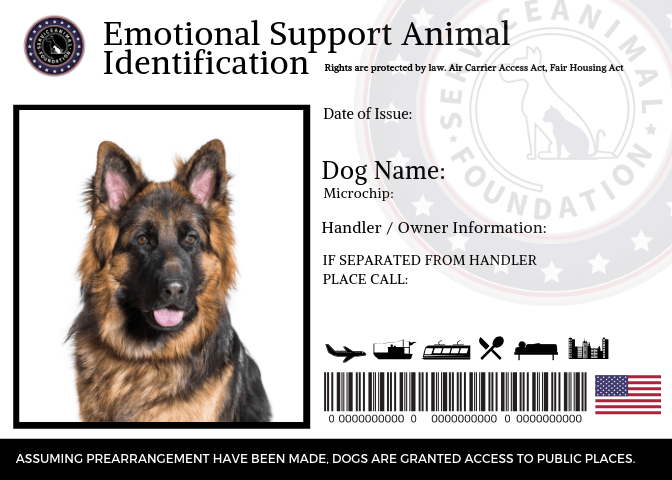 A german shepherd is on a emotional support animal identification card