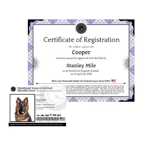A certificate of registration for a german shepherd dog.