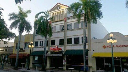 Palm Trees - Commercial Painting Services in Hollywood, FL Palm Trees - Commercial Painting Services in Hollywood, FL