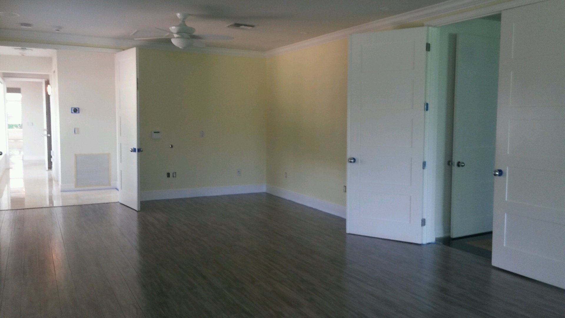 wall to wall murals in fort lauderdale