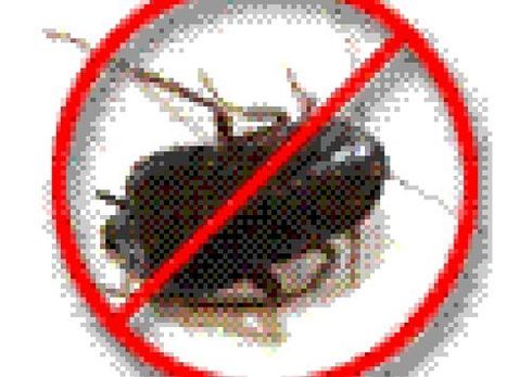 simbolo per prodotto non idoneo alla eliminazione delle blatte