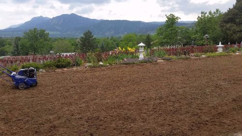 Before Finished Landscape - Boulder Lawns in Boulder, CO