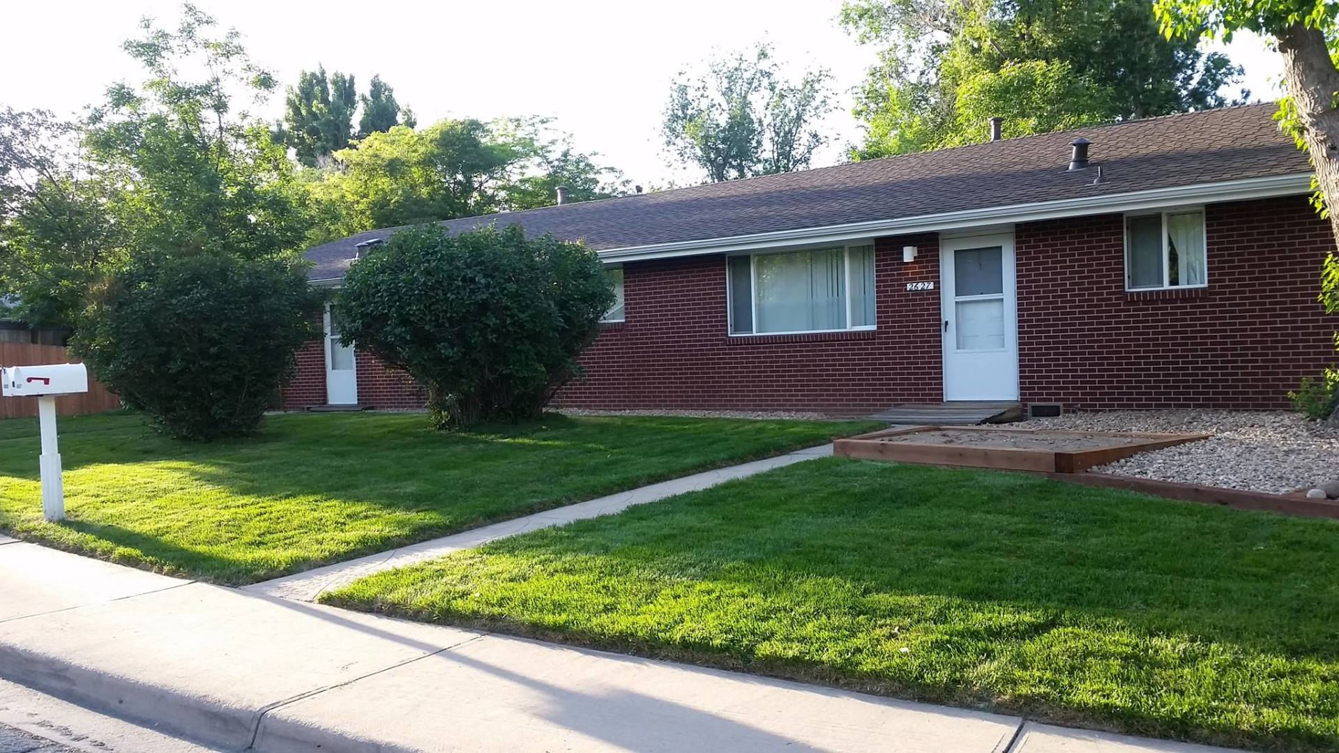 Clean Cut Grass - Boulder Lawns in Boulder, CO