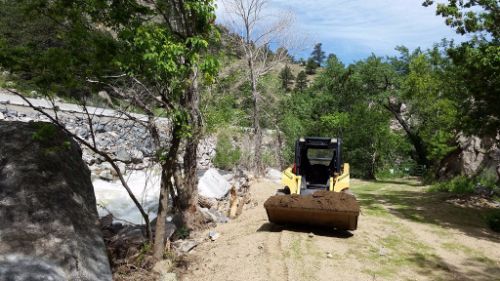 Tree Removal - Boulder Lawns in Boulder, CO