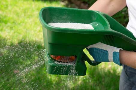 Pest Control — Lawn Care in Medina, OH Pest Control — Lawn Care in Medina, OH