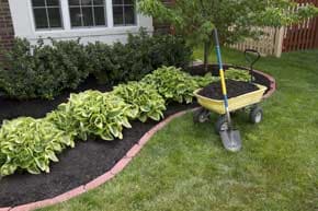 Landscape Shrubbery - Lawn Care, Landscaping, and Snow Removal in Medina, Ohio Landscape Shrubbery - Lawn Care, Landscaping, and Snow Removal in Medina, Ohio