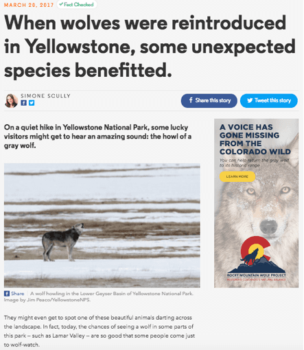 An article titled 