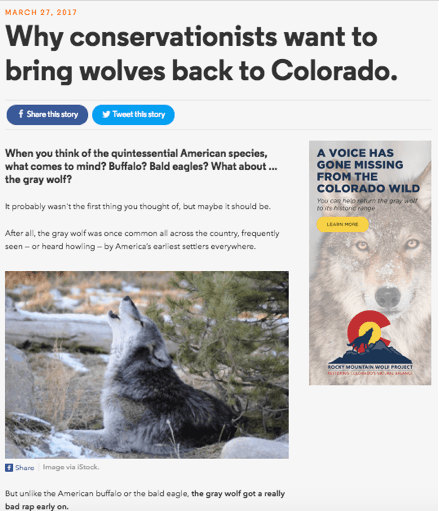 An article header titled 