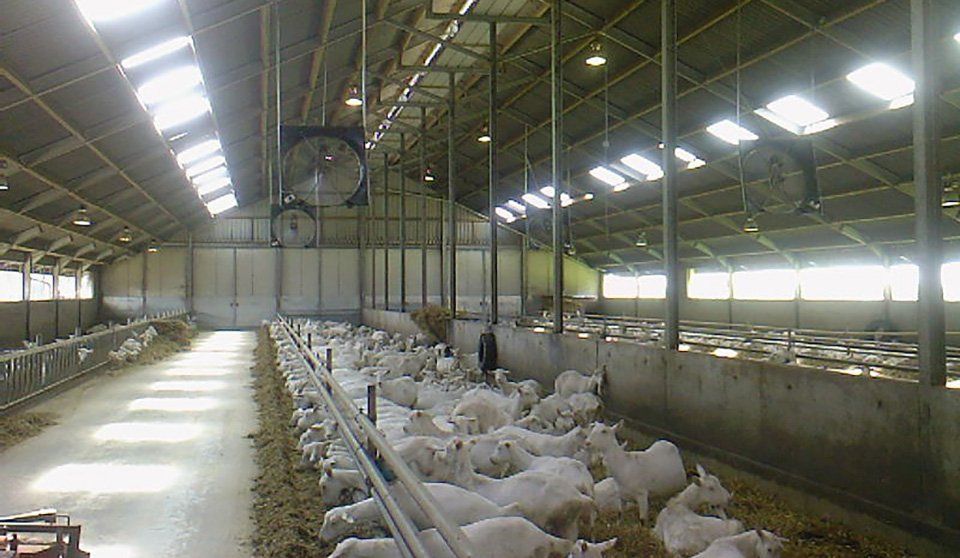 Ventilatie geitenstal