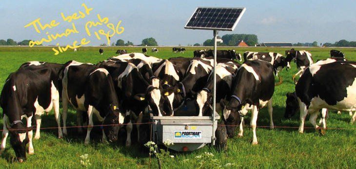 Poortman solar drinkbak