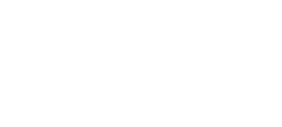 Bliss Construction Logo
