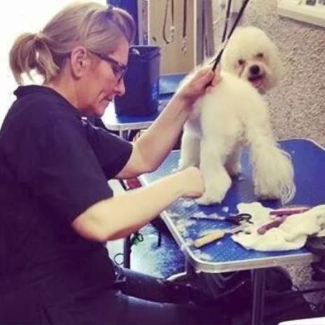 fur trimming