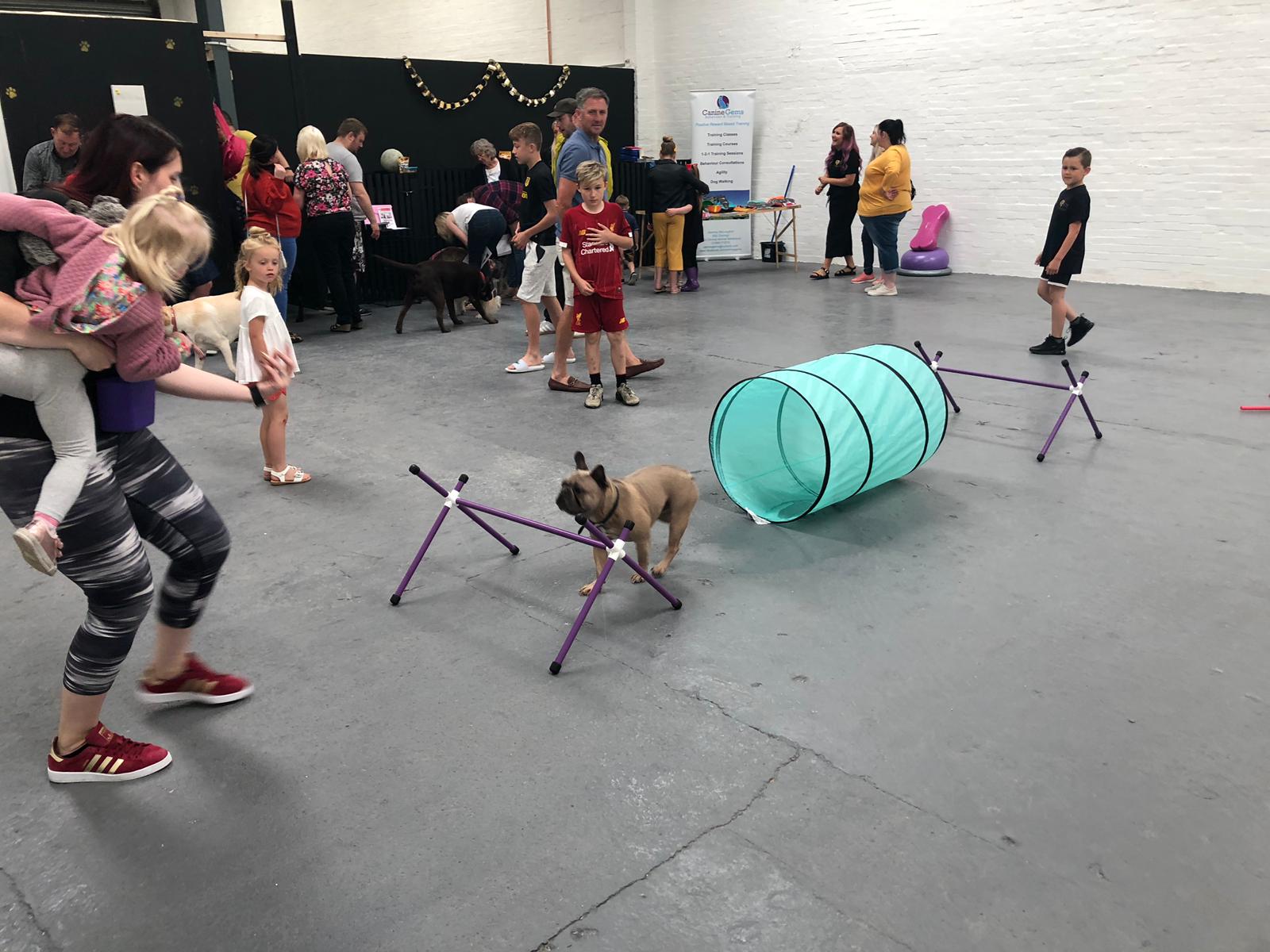 dog practicing