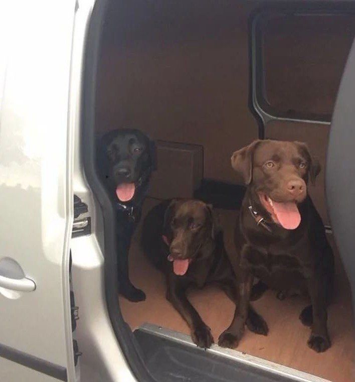 kennel