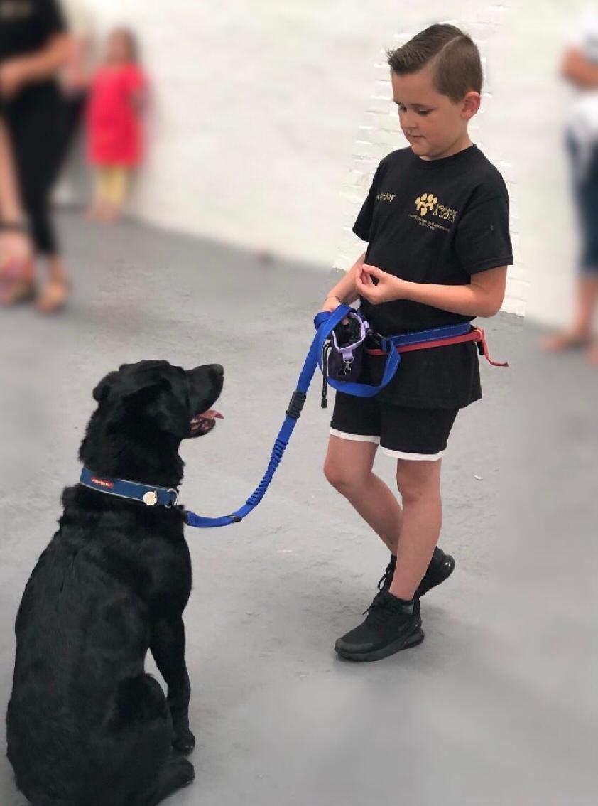 boy training a dog