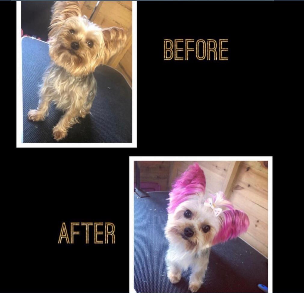 before and after